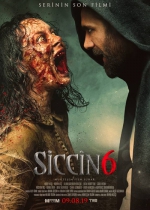 Siccin 6 poster
